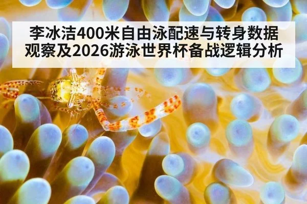 李冰洁400米自由泳配速与转身数据观察及2026游泳世界杯备战逻辑分析